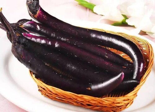 茄子几月份成熟上市