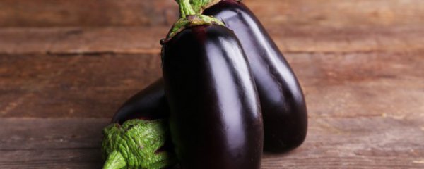 茄子几月份成熟