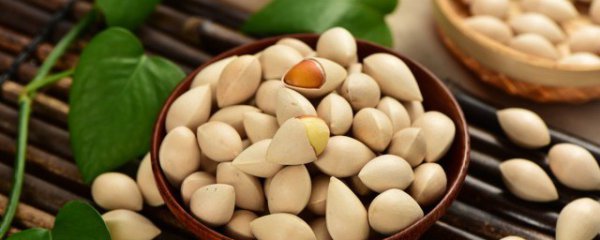 银杏果几月份成熟