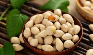 银杏果几月份成熟 银杏果的成熟期在几月呢