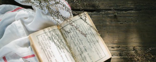 直根系和须根系的区别