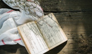 直根系和须根系的区别 直根系和须根系的区别介绍