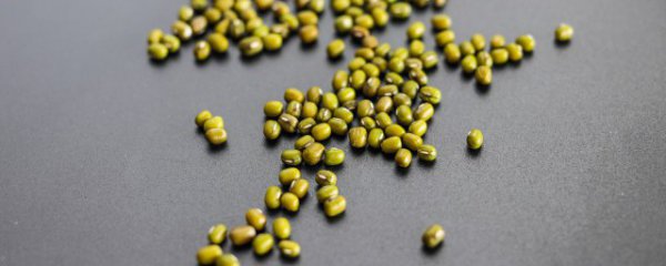 绿豆几月份成熟