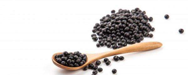 黑豆几月份成熟