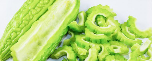 苦瓜几月份成熟