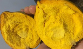 蛋黄果几月份成熟 蛋黄果哪个月份成熟的呢