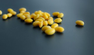 牛吃豆的好处和坏处 生黄豆炒熟喂牛好还是用水泡开好