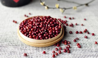 红豆什么时候成熟 红豆是什么季节收获的