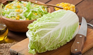 白菜什么时候成熟 大白菜什么季节成熟