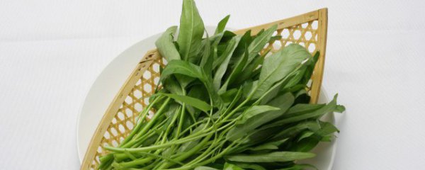 人尿放几天可兑水浇菜