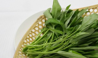人尿放几天可兑水浇菜 人尿可以浇菜的时间
