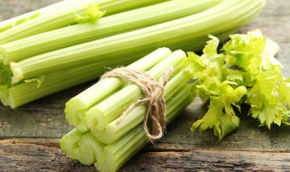几月份种芹菜 芹菜什么时候种