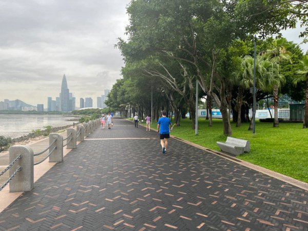 深圳市花叫簕杜鹃这个名字吗