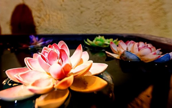 次第花开的寓意