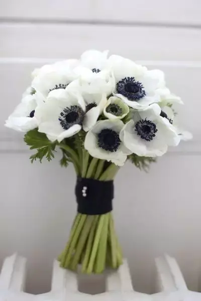 结束一段感情送什么花
