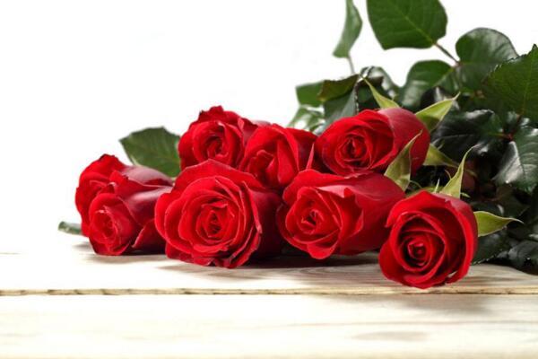 7朵玫瑰花代表什么意思