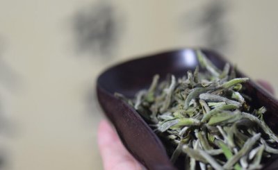白牡丹属于什么茶类 白牡丹是什么茶该怎么冲泡呢