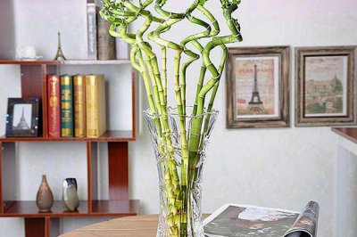 花瓶的象征寓意 揭示花瓶作为物品的象征和寓意
