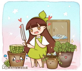 仙人掌怎么养才能长好？做好这4点叶片又肥又厚