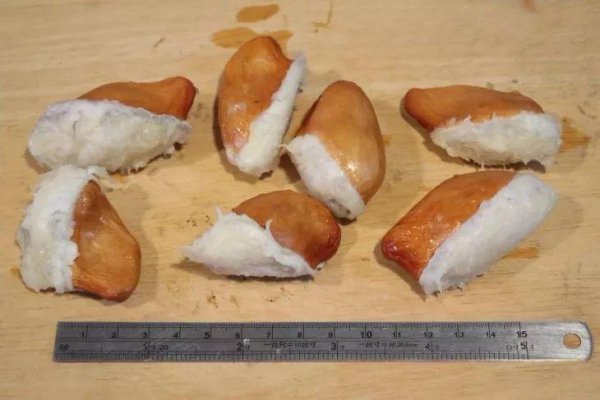 榴莲种子怎么种出盆栽发芽
