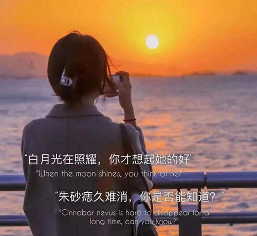 网络用语白月光的意思