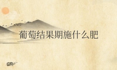 葡萄结果期施什么肥好