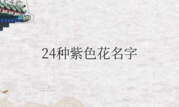 24种紫色花名字和寓意