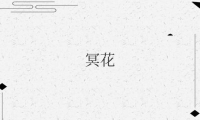 冥花是什么花 关于四大冥花的传说