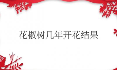 花椒树几年开花结果？每年产量如何？