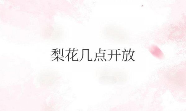 梨花24小时几点开放