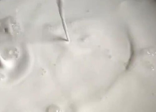 牛奶浇花的正确方法及需要注意什么