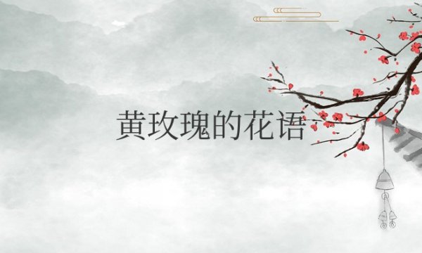 黄玫瑰的花语和象征意义