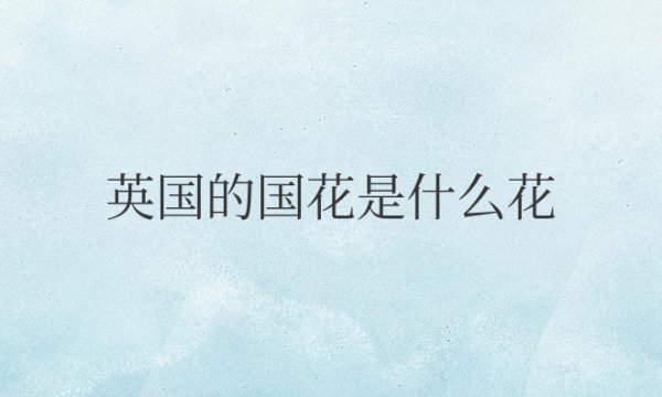 英国的国花是什么花正确答案