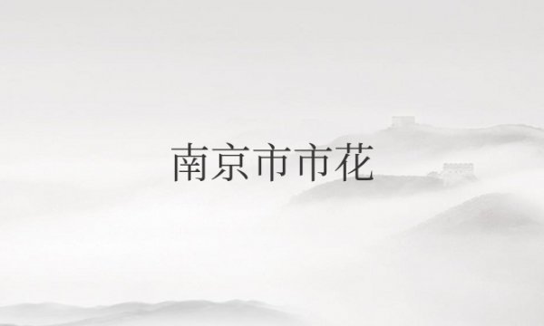 南京市市花叫什么名字