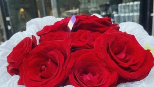 九朵玫瑰花代表什么意思