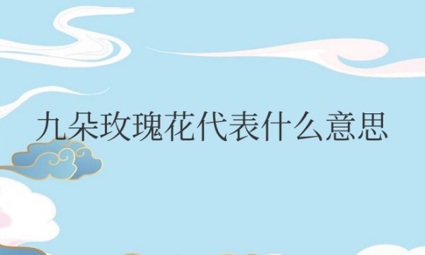 九朵玫瑰花代表什么意思