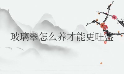 玻璃翠怎么养才能更旺盛开花 玻璃翠花的养殖方法