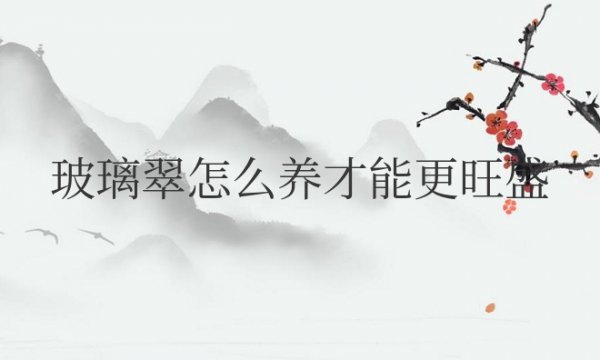 玻璃翠怎么养才能更旺盛开花