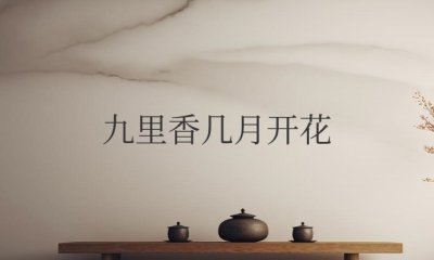 九里香几月开花花期多长时间 一年开几次