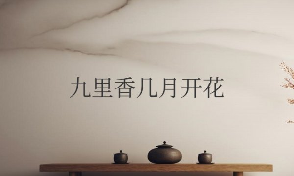 九里香几月开花花期多长时间