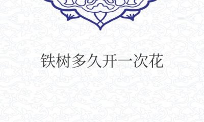 铁树多久开一次花结一次果？有什么寓意？