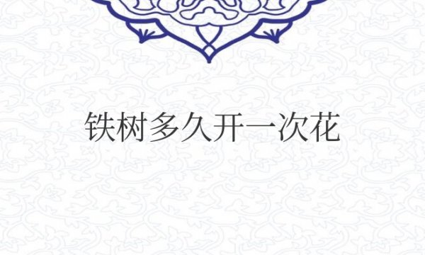 铁树多久开一次花结一次果？有什么寓意？