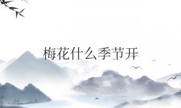 梅花什么季节开放时间