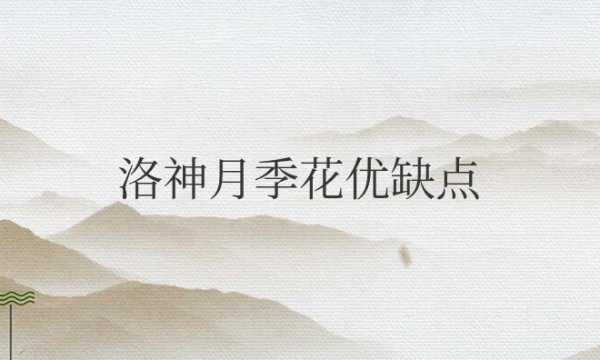 洛神月季花优缺点