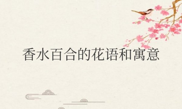 香水百合的花语和寓意和象征意义