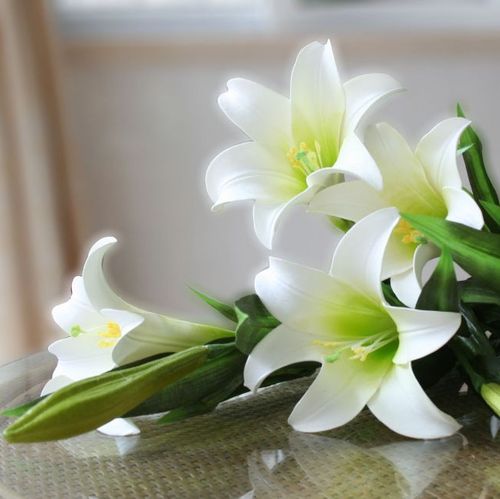 香水百合的花语和寓意和象征意义
