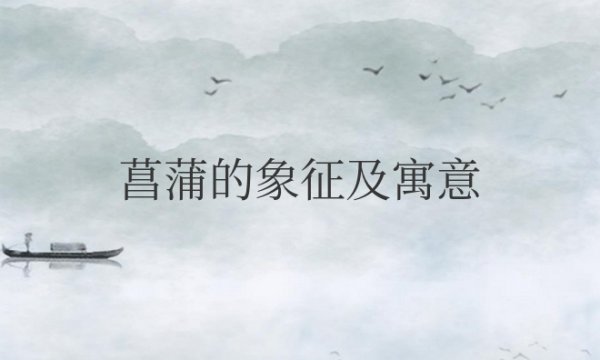菖蒲的象征及寓意是什么