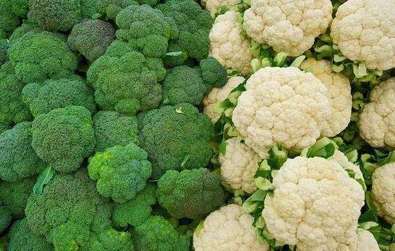 西兰花和花菜的区别在哪里？营养一样吗？