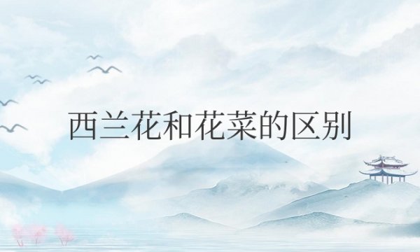 西兰花和花菜的区别在哪里？营养一样吗？