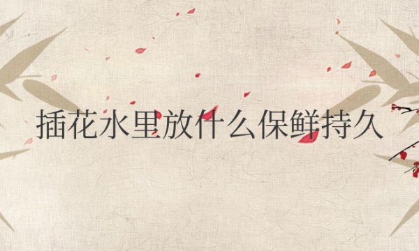 插花水里放什么保鲜持久